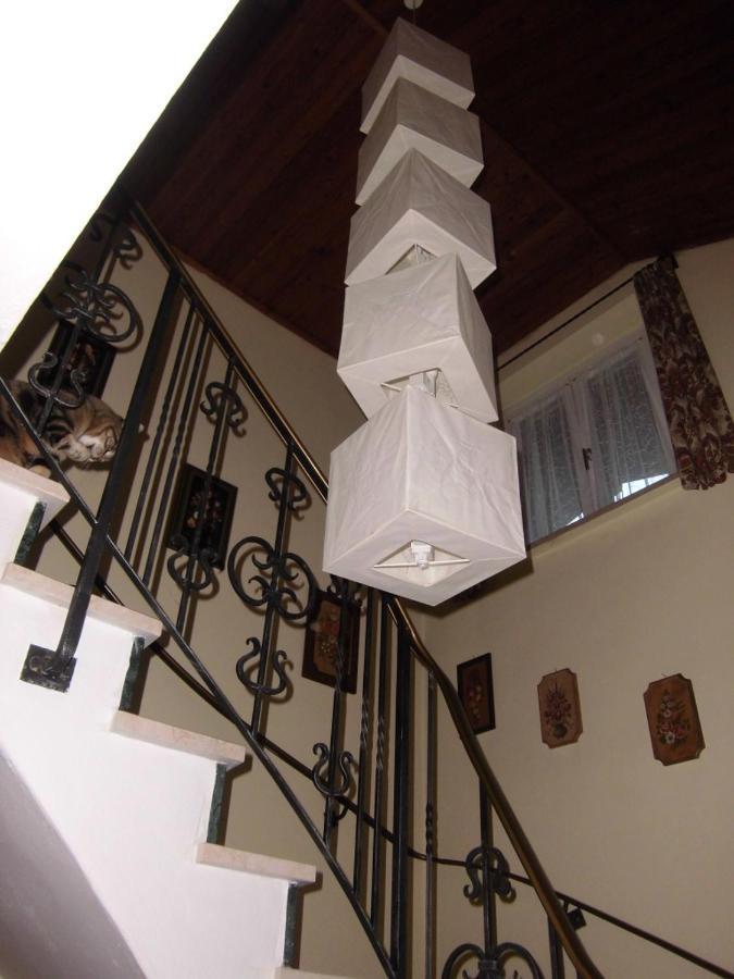 Appartements Haus Schmalzl フィーホーフェン エクステリア 写真